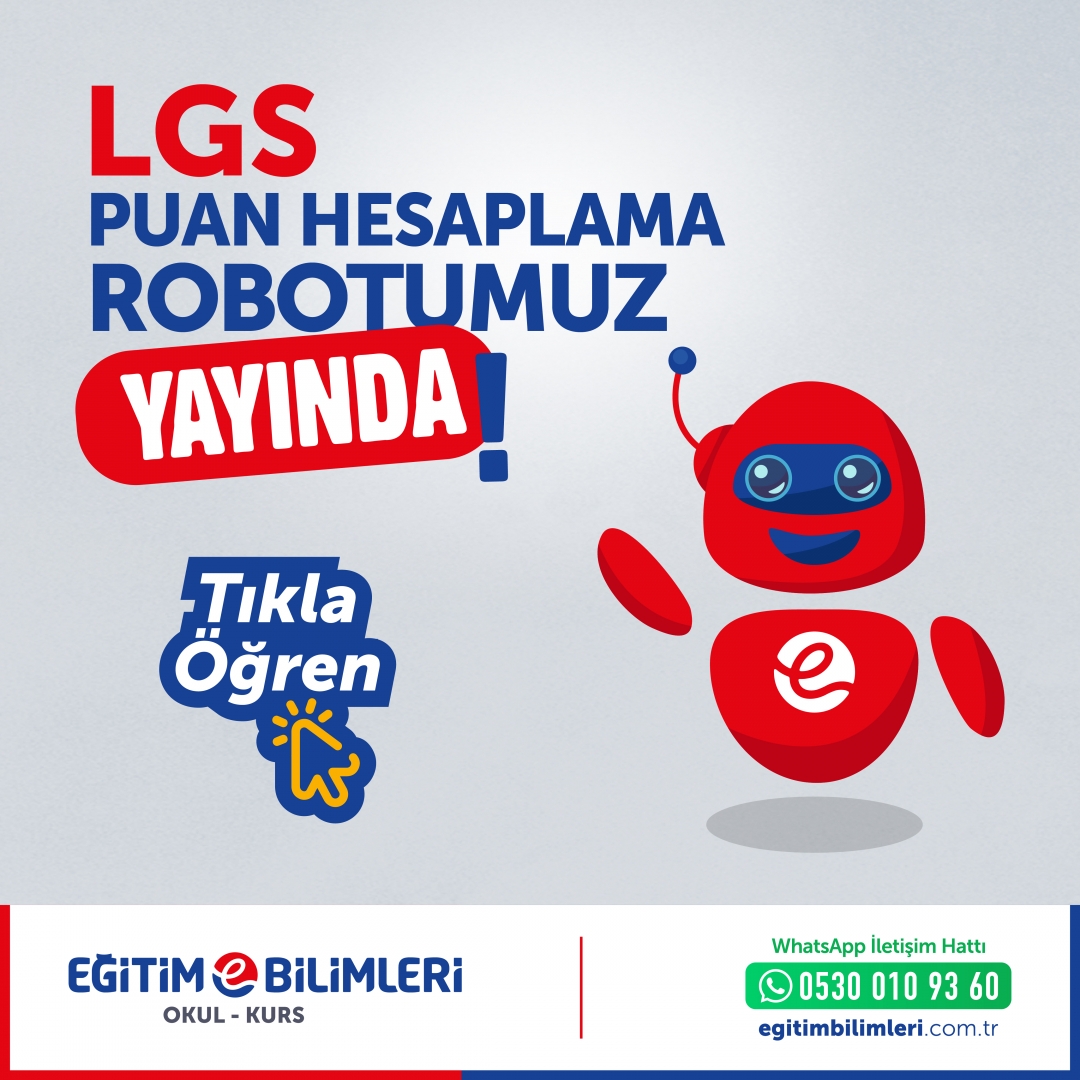 lgs puan hesaplama