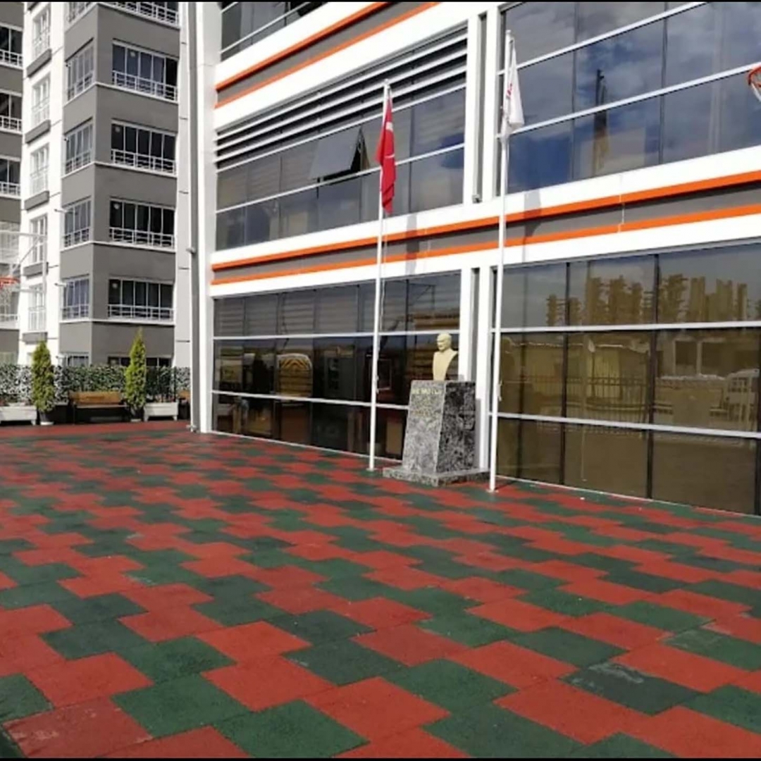 Arka Bahçe